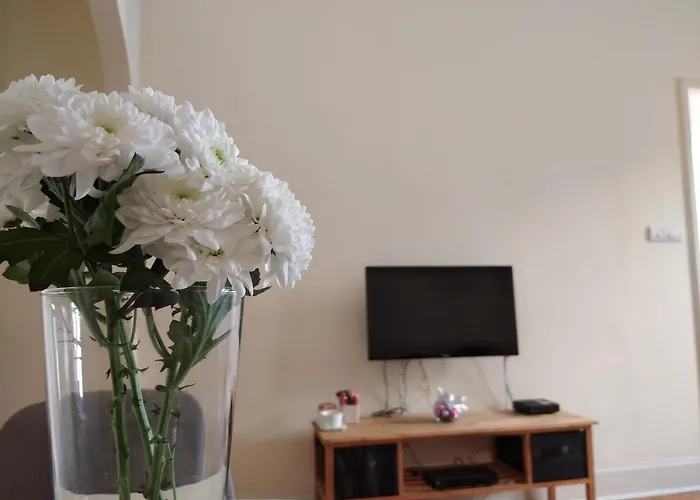 Apartment Central